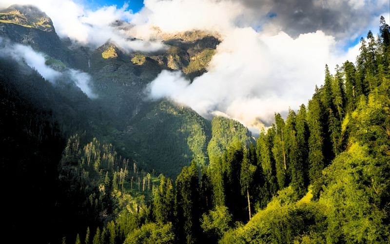 Hills & Harmony: Manali–Chandigarh Tour